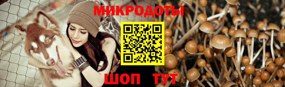 Светлоград  Галлюциногенные грибы мицелий  Вход с VPN 